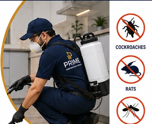 Pest Control Service